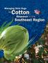 Managing Stink Bugs. in Cotton: Research in the. Southeast Region