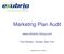 Marketing Plan Audit