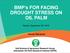 BMP s FOR FACING DROUGHT STRESS ON OIL PALM