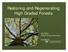 Restoring and Regenerating High Graded Forests. Jim Finley School of Forest Resources