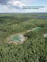 Protect the North American Boreal Forest KLEENEX FREE CLASSROOMS