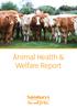 Animal Health & Welfare Report