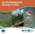 The EU Biodiversity Strategy to 2020