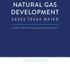 NATURAL GAS DEVELOPMENT