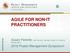 AGILE FOR NON-IT PRACTITIONERS