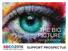 THE BIG PICTURE 2016 WHERE SIGHT MEETS VISION TM SUPPORT PROSPECTUS WIDEN YOUR PERSPECTIVE