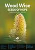 Wood Wise SEEDS OF HOPE BETTER TIMBER FROM NATIVE TREES FOREST MANAGEMENT TO AID ADAPTATION CREATING A SEED BANK FOR THE FUTURE