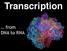Transcription. DNA to RNA