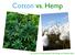 Cotton vs. Hemp. by Zuzanna Drozdz, Jennifer Schmerling, and Matthew Blum