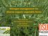 Nitrogen management for diverse organic vegetable farms. Nick Andrews OSU Small Farms Extension Dan Sullivan OSU Soil Scientist