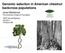 Genomic selection in American chestnut backcross populations