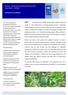 Poverty Environment Initiative (PEI) Lao PDR Issues Brief 05/2010: Investments in biofuels BRIEF
