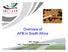 Overview of AFB in South Africa. Mike Allsopp ARC- Plant Protection Research Institute