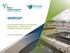 NEREDA Innovative technology for cost-effective, energy efficient, sustainable and profitable wastewater treatment