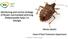 Monitoring and control strategy of Brown marmorated stink bug (Halyomorpha halys ) in Georgia