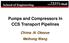 Pumps and Compressors In CCS Transport Pipelines. Chima.N. Okezue Meihong Wang