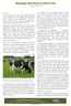 Managing Heat Stress in Dairy Cows