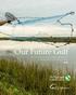 Our Future Gulf The Nature Conservancy s Recommendations for Restoration in the Gulf of Mexico 2016