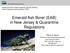 Emerald Ash Borer (EAB) in New Jersey & Quarantine Regulations
