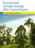 Forests and climate change after Copenhagen