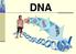 Content. 1. Introduction 2. The DNA is the material of inheritance 3. Replication 4. Repair 5. Genetic code 6. Mutation