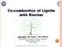 Co-combustion of Lignite with Biochar