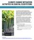 Climate change mitigation activities in coastal ecosystems