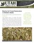 Biochar for Forest Restoration in Western States