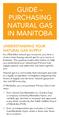 GUIDE PURCHASING NATURAL GAS IN MANITOBA