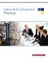 Labor & Employment Practice