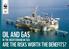 OIL AND GAS IN THE MEDITERRANEAN SEA: ARE THE RISKS WORTH THE BENEFITS?