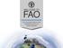 WELCOME TO FAO THE FOOD AND AGRICULTURE ORGANIZATION OF THE UNITED NATIONS