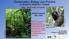 Conservation Biology and Practice in Brazil s Atlantic Forest