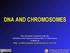 DNA AND CHROMOSOMES. Genetica per Scienze Naturali a.a prof S. Presciuttini