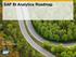 SAP BI Analytics Roadmap. Tony Alvarez Platform and Analytics