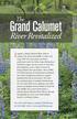 Grand Calumet. River Revitalized