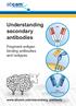 Understanding secondary antibodies