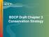 BDCP Draft Chapter 3 Conservation Strategy
