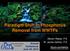 Paradigm Shift in Phosphorus Removal from WWTPs Annual Conference June 20, 2012