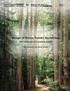 Design of Forest Tenure Institutions