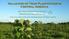 Valuation of Teak Plantations in Central America