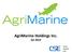 AgriMarine Holdings Inc. Q Stock Symbol: FSH