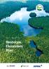 Annual Report Restorasi Ekosistem Riau