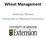 Wheat Management. Anthony Ohmes University of Missouri Extension