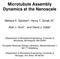 Microtubule Assembly Dynamics at the Nanoscale