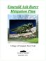 Emerald Ash Borer Mitigation Plan. Village of Fairport, New York