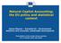 Natural Capital Accounting: the EU policy and statistical context