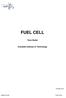 FUEL CELL. Yann Bultel. Grenoble Institute of Technology