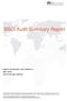 BSCI Audit Summary Report