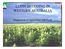 LUPIN BREEDING IN WESTERN AUSTRALIA. Department of Agriculture and Food